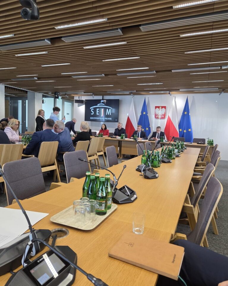 sejm 1